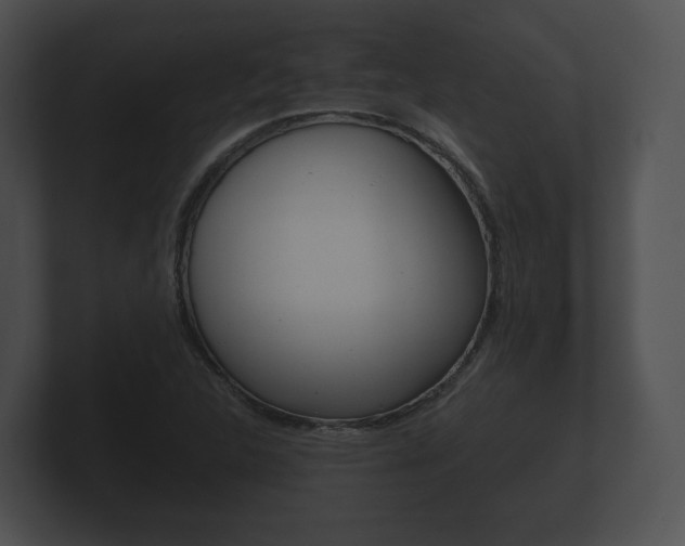 X0000100891312200806241000