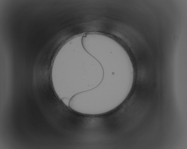 X0000100891314200806241000