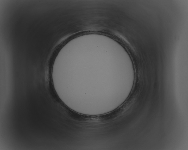 X0000100891315200806241000