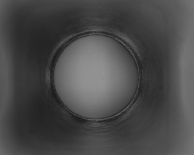 X0000100891318200806241000