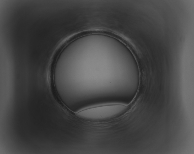 X0000100891319200806241000