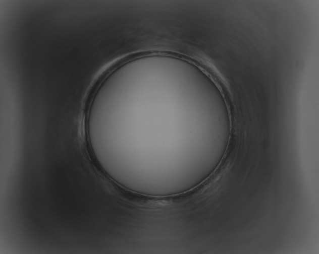 X0000100891320200806241000