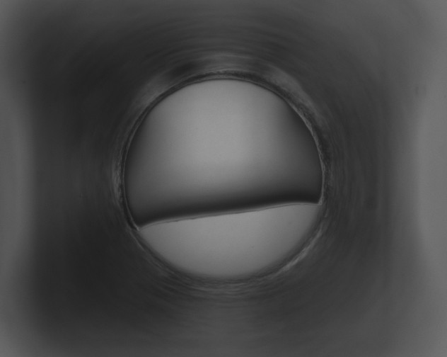 X0000100891321200806241000