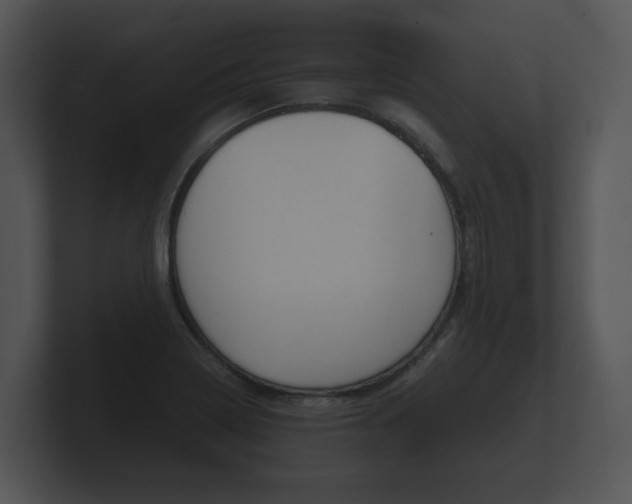X0000100891322200806241000