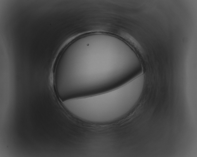 X0000100891324200806241000