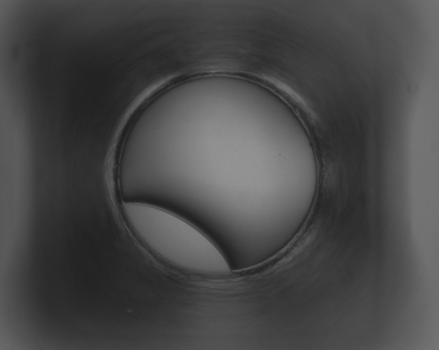 X0000100891325200806241000