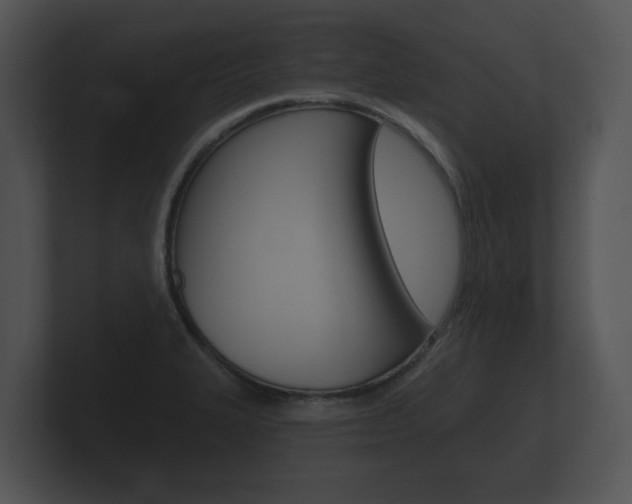 X0000100891327200806241000