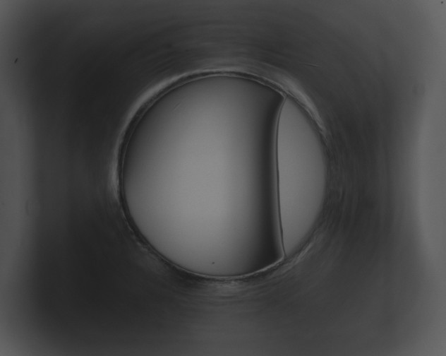 X0000100891328200806241000