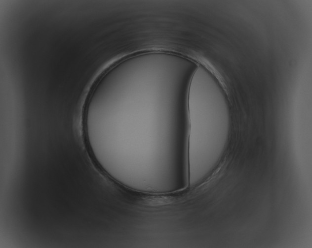 X0000100891331200806241001