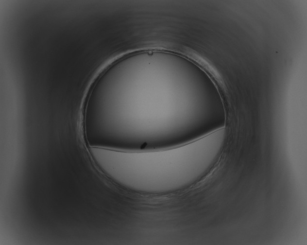 X0000100891332200806241001
