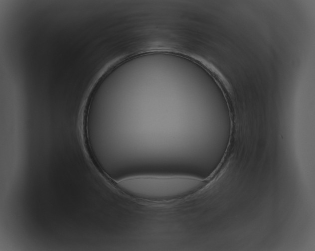 X0000100891333200806241001