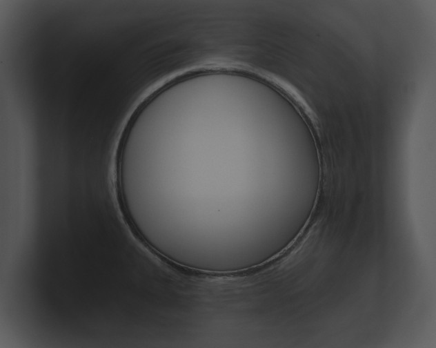 X0000100891335200806241001