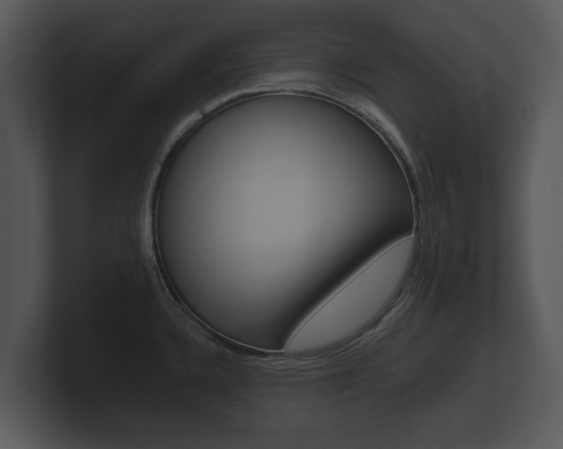 X0000100891336200806241001