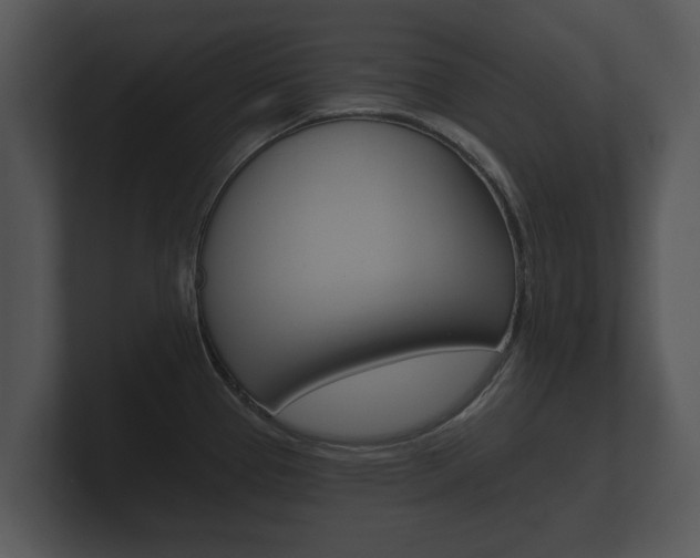 X0000100891337200806241001