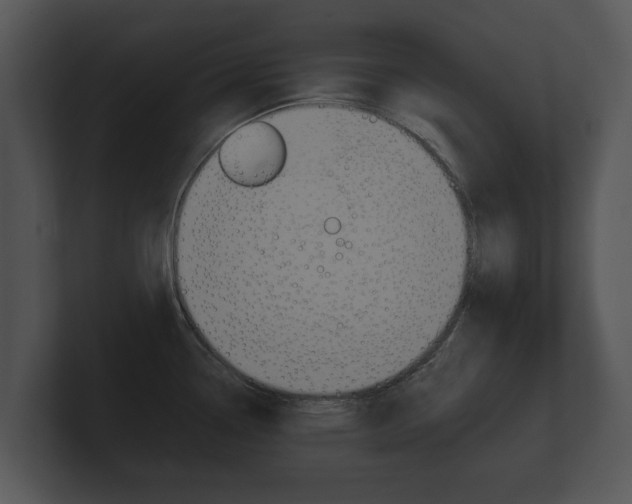 X0000100891338200806241001