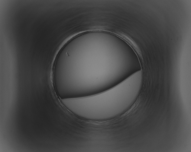 X0000100891340200806241001
