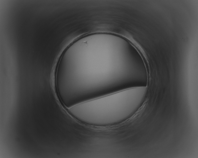 X0000100891341200806241001