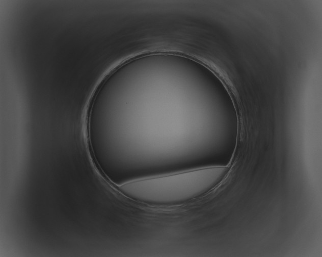 X0000100891342200806241001