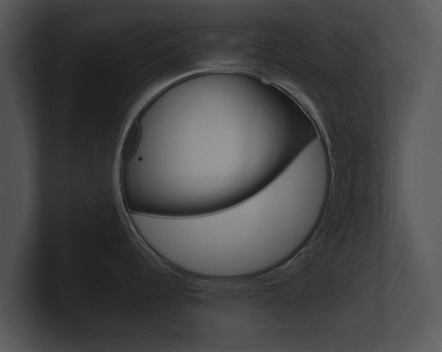 X0000100891344200806241001