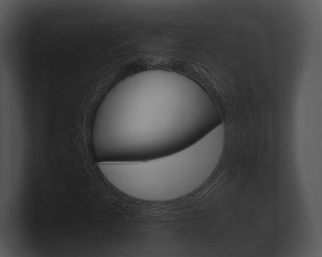 X0000100891345200806241000