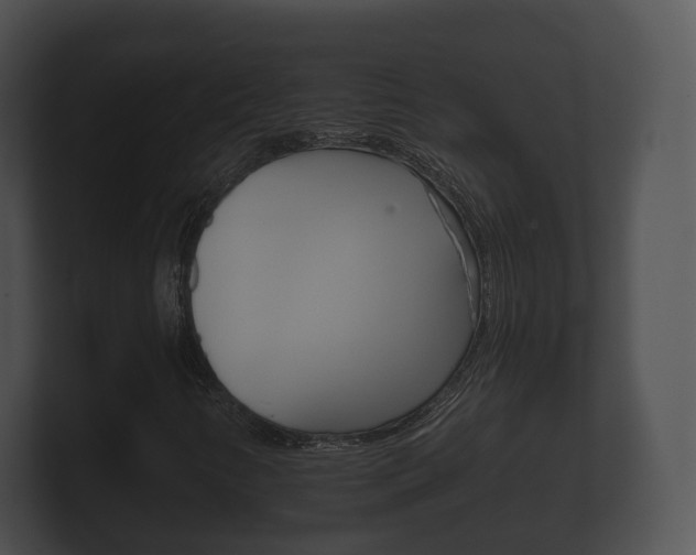 X0000100891346200806241000