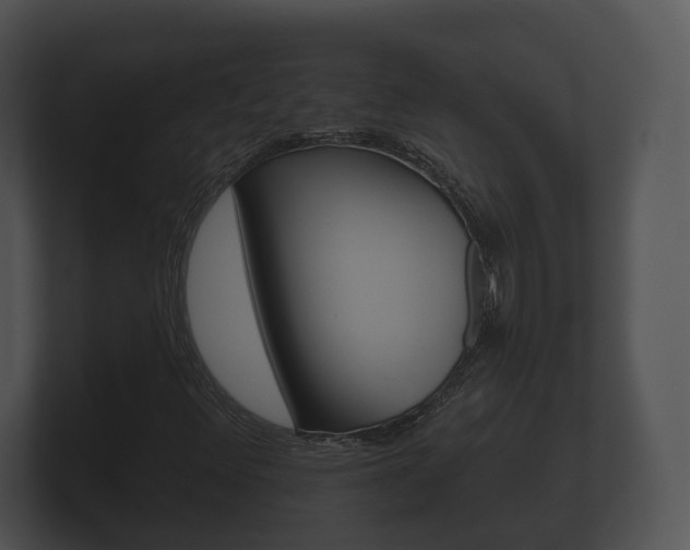 X0000100891348200806241000