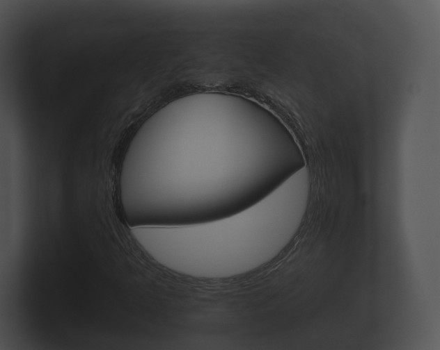 X0000100891349200806241000