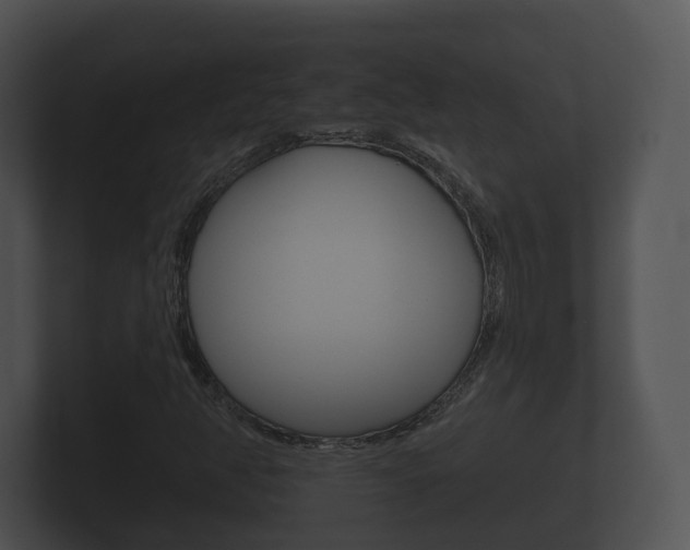 X0000100891350200806241000