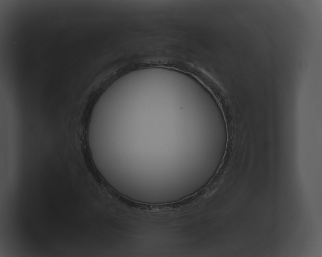 X0000100891351200806241000