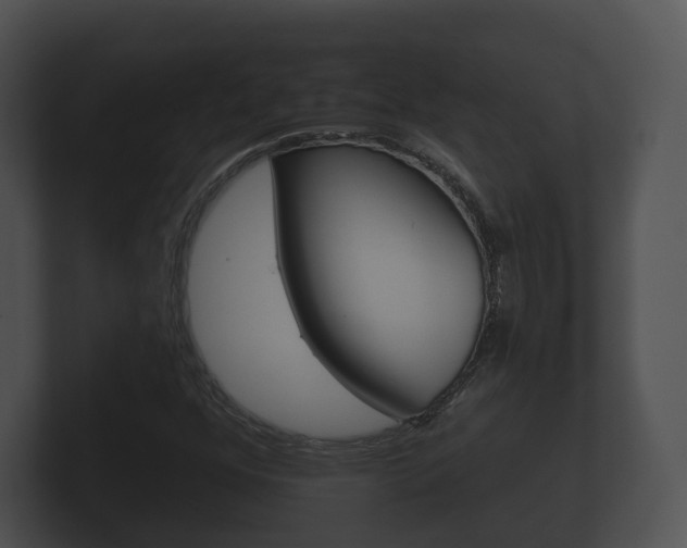 X0000100891352200806241000