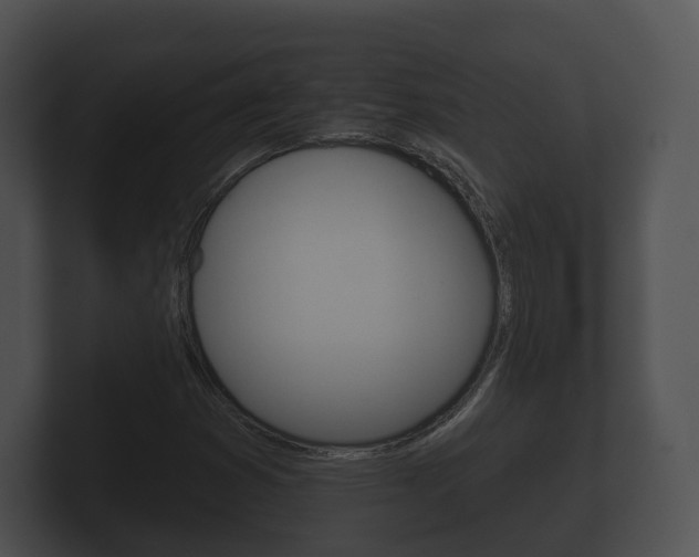 X0000100891353200806241000