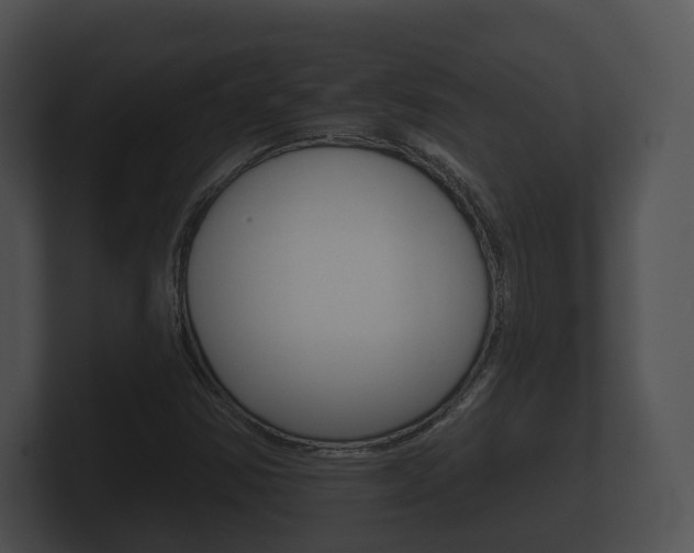 X0000100891354200806241000