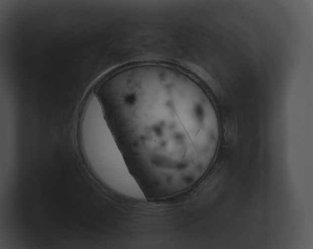 X0000100891356200806241000
