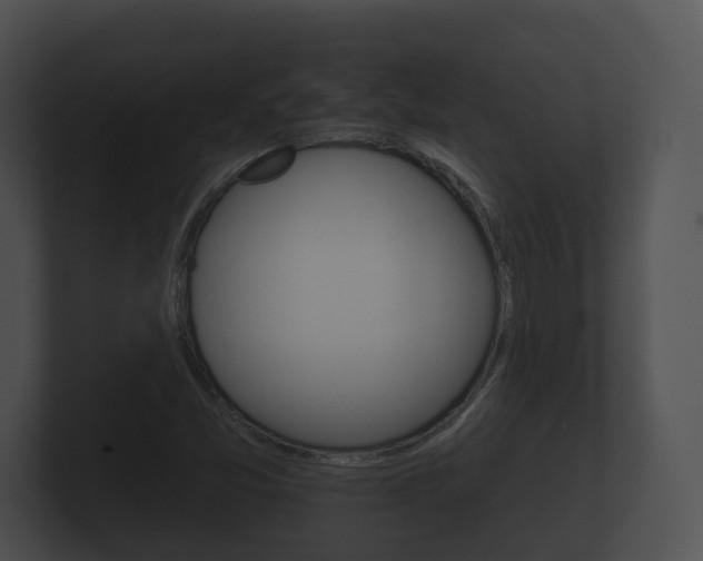 X0000100891357200806241000
