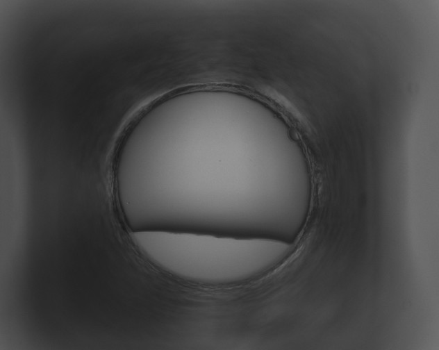 X0000100891358200806241000