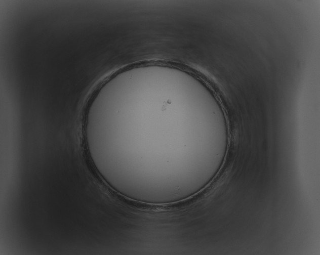 X0000100891359200806241000