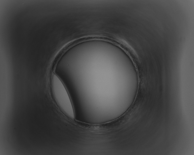 X0000100891360200806241000