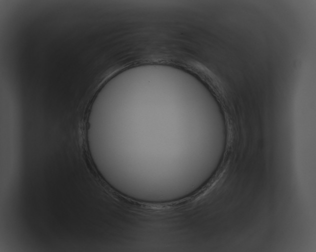 X0000100891361200806241000