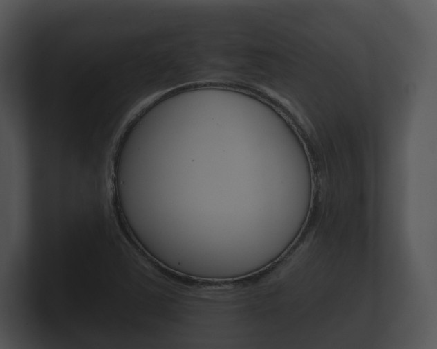 X0000100891363200806241000