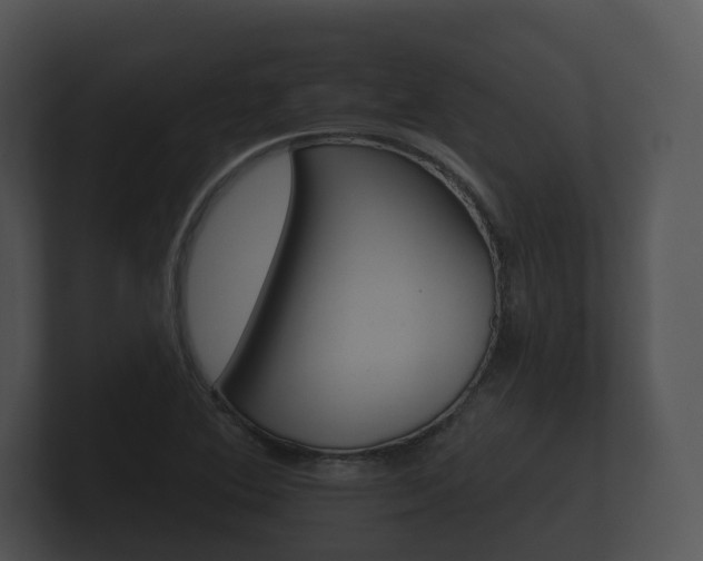 X0000100891364200806241000