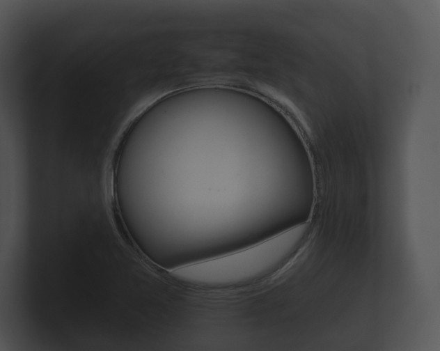 X0000100891365200806241000