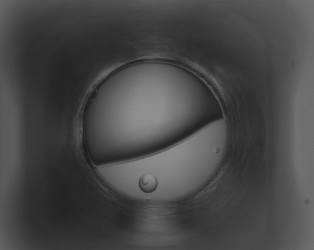 X0000100891367200806241000