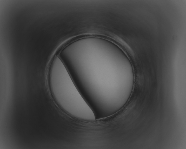 X0000100891368200806241000