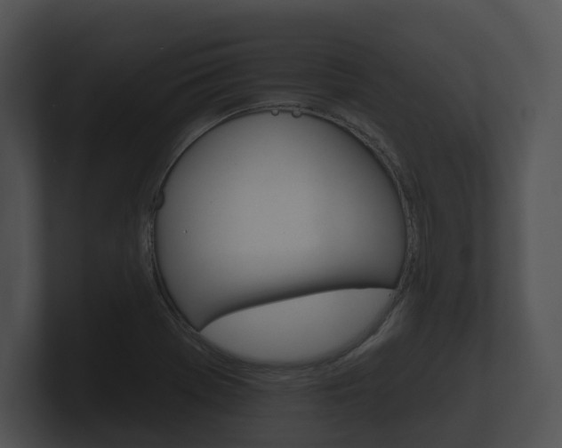X0000100891369200806241000