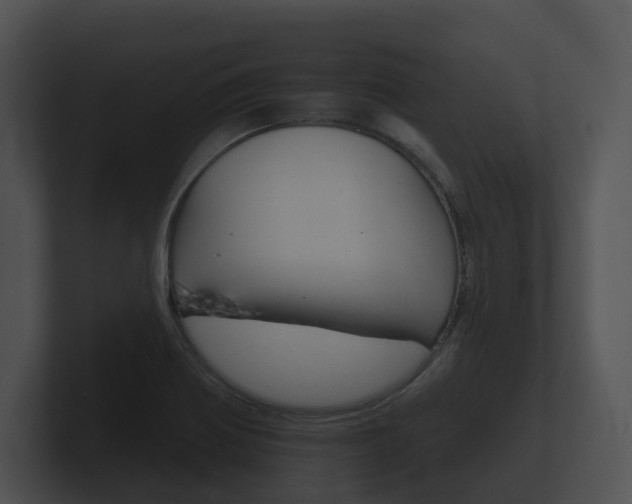 X0000100891370200806241000