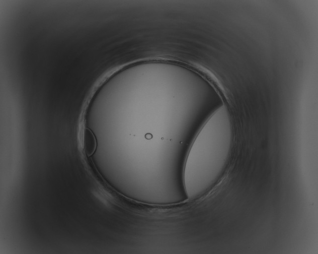 X0000100891371200806241000