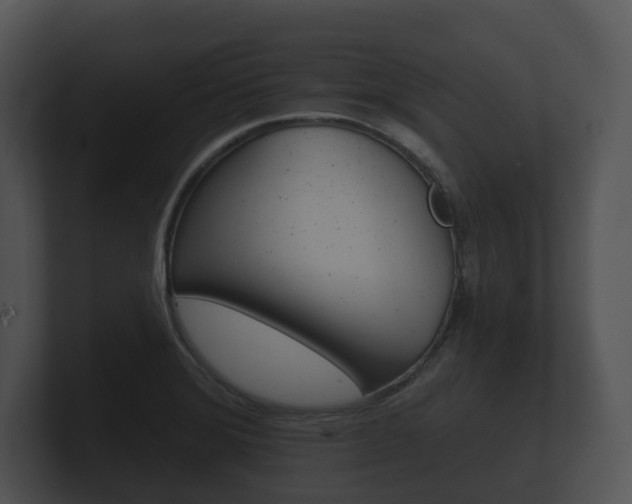 X0000100891372200806241000