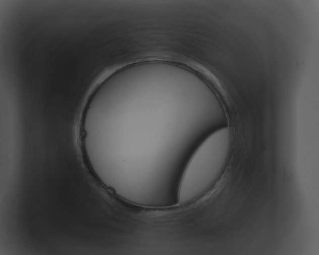 X0000100891373200806241000