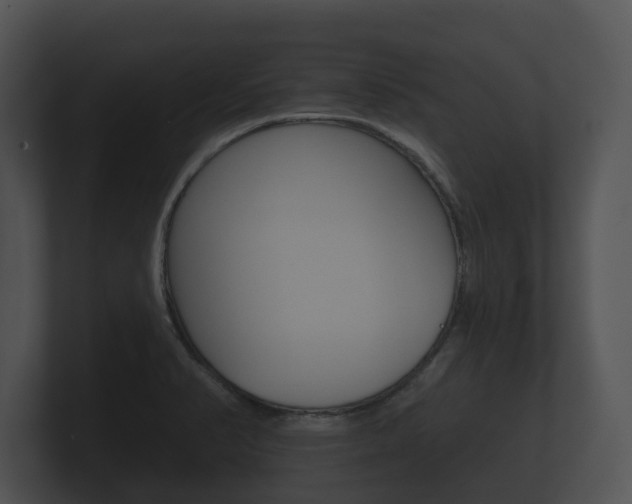 X0000100891374200806241000