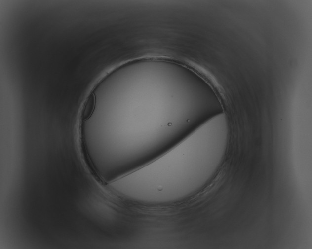 X0000100891375200806241000